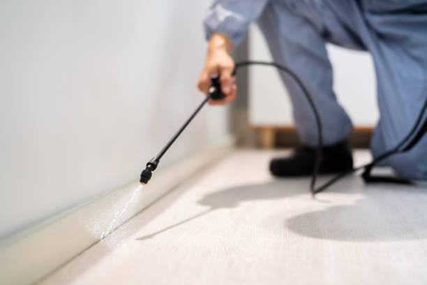 Flea Control Services in Lake Isabella, MI