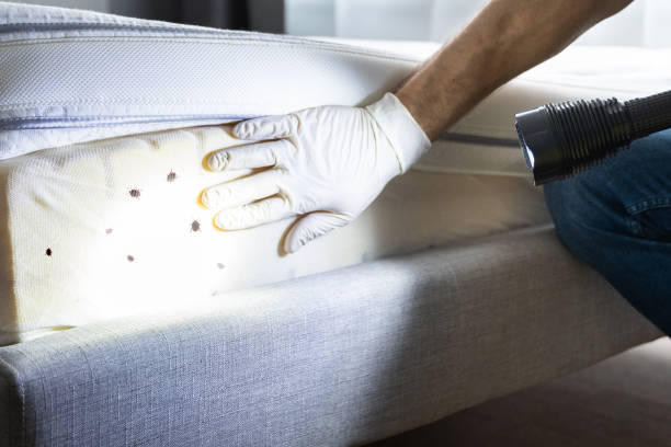 Pest Prevention Services in Lake Isabella, MI